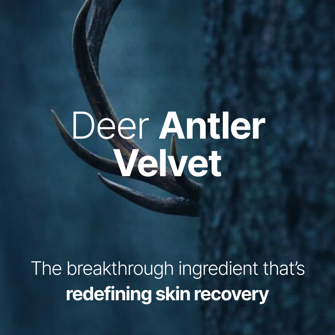 What Is Deer Antler Velvet? Benefits, Uses & What You Should Know