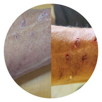 D.Y – Bitten by a Caracal